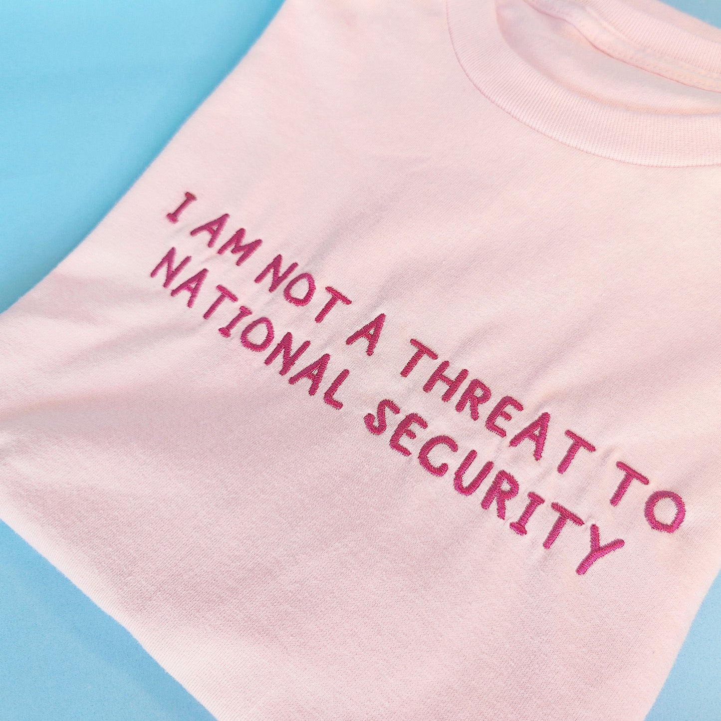 National Security Embroidered Tee