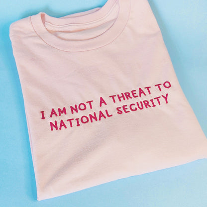 National Security Embroidered Tee